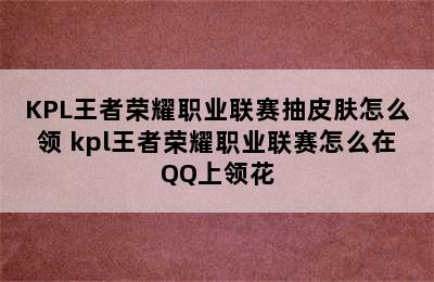 KPL王者荣耀职业联赛抽皮肤怎么领 kpl王者荣耀职业联赛怎么在QQ上领花